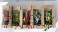 Мини букет сухи цветя в кутия с прозрачен капак, снимка 4