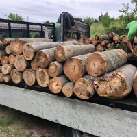 ДЪРВА ЗА ОГРЕВ НА АДРЕС! 115лв  РЕАЛНА КУБАТУРА! обл. ПЛЕВЕН, ЛОВЕЧ и селата 0878 110 111, снимка 5 - Други услуги - 34971728