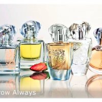 Премиални   парфюми ТТА Today, Tomorrow, Always , Together, снимка 1 - Дамски парфюми - 16239332