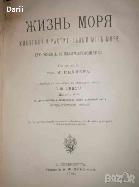 Жизнь моря: Животный и растительный мир моря, его жизнь и взаимоотношения, снимка 1