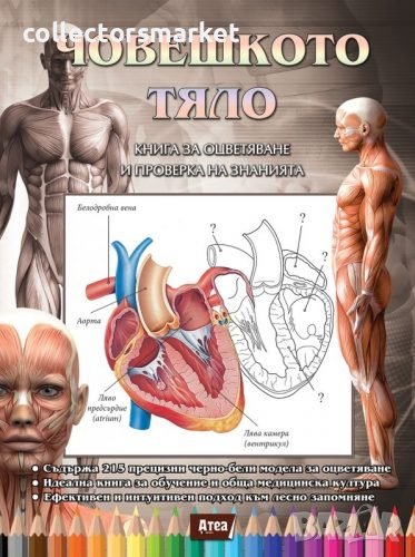 Човешкото тяло. Книга за оцветяване и проверка на знанията, снимка 1