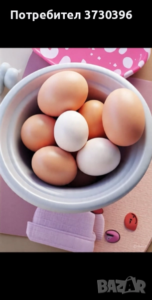 Яйца от домашни кокошки, снимка 1