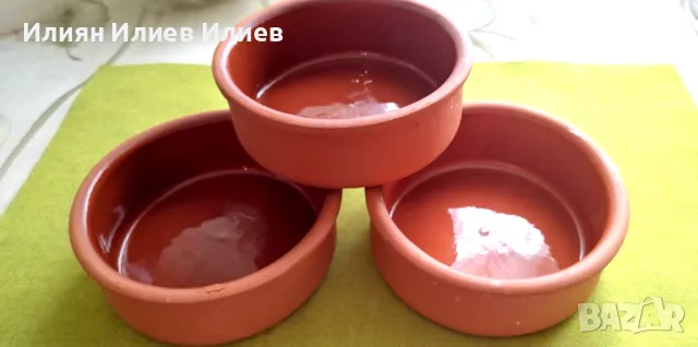 Цветя стайни, снимка 2 - Градински цветя и растения - 49739547