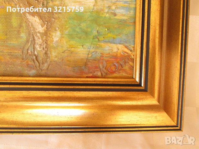 Картина масло,платно , подписана, 60х50см, снимка 2 - Картини - 35501794