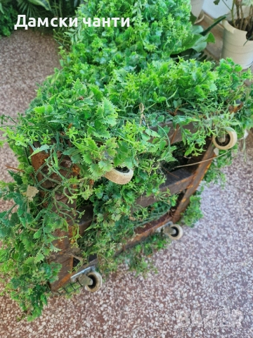 Арка-сърце, згъваема на колела , снимка 5 - Градински мебели, декорация  - 51740344