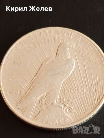 Сребърна монета 1 долар 1922г. САЩ рядка за КОЛЕКЦИОНЕРИ 50018, снимка 7 - Нумизматика и бонистика - 48959206