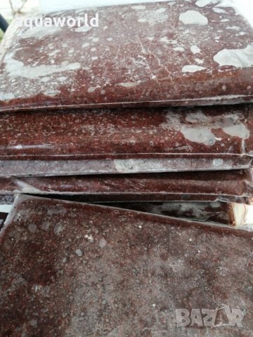 Замразена артемия (майки), снимка 2 - Оборудване за аквариуми - 33211045