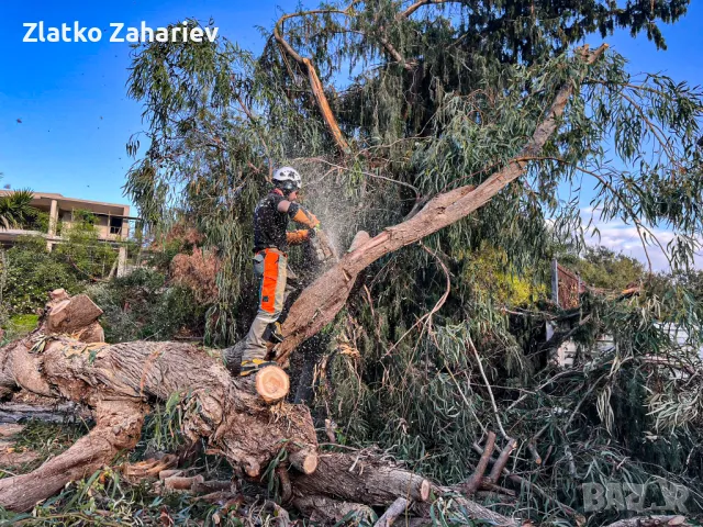 Рязане,оформяне,укрепване на опасни дървета , снимка 18 - Други услуги - 39864280