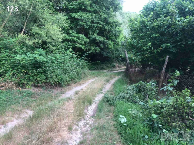  Къща с. Кръстевич, снимка 13 - Къщи - 50795945