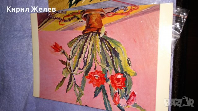 ЛОТ ТРИ СТАРИ СОЦ НРБ и СССР КРАСИВИ ПОЩЕНСКИ КАРТИЧКИ 5875, снимка 7 - Филателия - 38563042