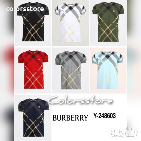 Мъжка тениска Burbarry кодSS622, снимка 1 - Тениски - 32806829