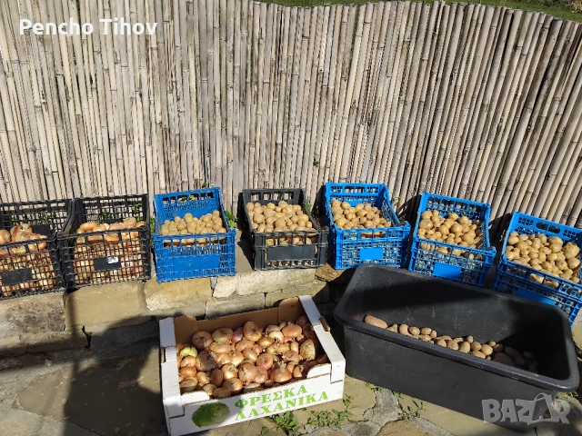 Продавам парцел в регулация и зем. земя в с. Враниловци., снимка 15 - Парцели - 51936556