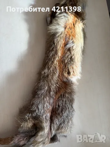 Лисица естествена кожа Яка, снимка 5 - Други - 49578837