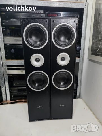 🔊 AEG Z500 – Звярът от старата школа! 🎶, снимка 2 - Тонколони - 50763582