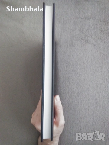 Две студии по аналитична психология К. Г. Юнг, снимка 6 - Специализирана литература - 51911285