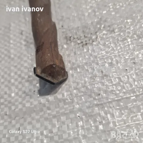 Бургия голяма