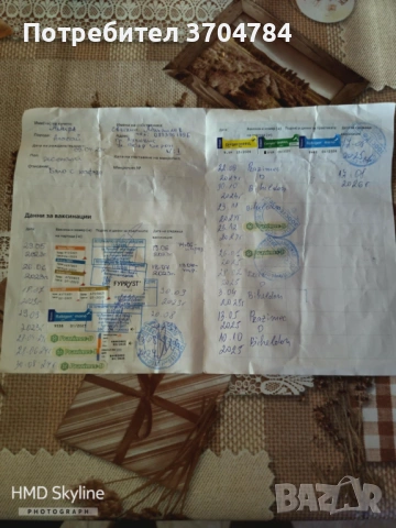 Продавам Сао алабай , снимка 4 - Алабай - 53308382