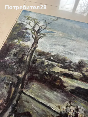 Стара майсторска картина - Пейзаж, снимка 2 - Картини - 49210731