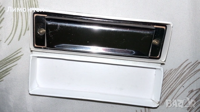 Хармоника от Дания , снимка 4 - Духови инструменти - 53538624