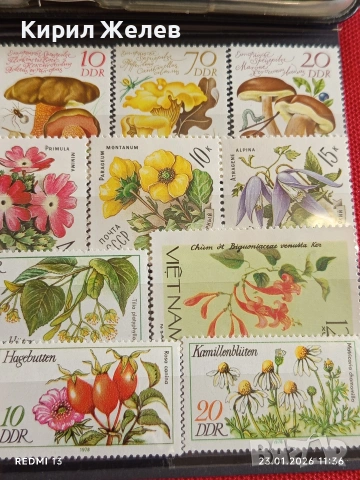 Стари пощенски марки от цял свят смесени ЦВЕТЯ,ГЪБИ за КОЛЕКЦИОНЕРИ 52012, снимка 3 - Филателия - 53198174