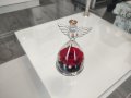 Ангелска стъкленица с вечна роза, снимка 15