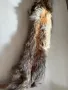 Лисица естествена кожа Яка, снимка 5