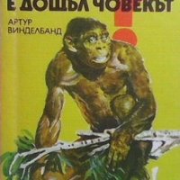 Откъде е дошъл човекът Артур Винделбанд, снимка 1 - Художествена литература - 28688884