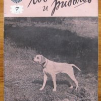 Лов и риболов, брой 7, 1958, снимка 1 - Специализирана литература - 28304194