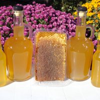 Пчелен мед във восъчна пита, снимка 9 - Пчелни продукти - 38495832