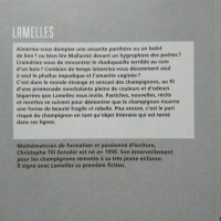 Lamelles.  Christophe-Till Geissler. Френски език 2008 г., снимка 3 - Други - 27804360