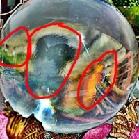 Антична кварцова кристална топка. Връзка с отвъдното. Най-малко 200-годишният орбукулум, в който се , снимка 3 - Антикварни и старинни предмети - 43017139