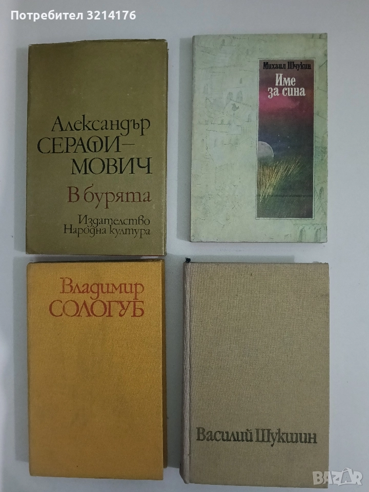 Име за сина - Михаил Шчукин, снимка 1