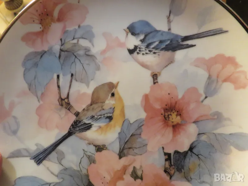 Стара английска чиния красиви птички и цветя за декорация или колекция - красота за вашия дом или оф, снимка 1