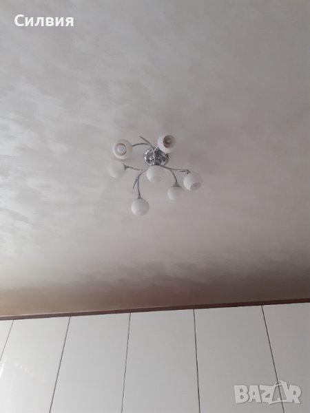 Полилей, снимка 1