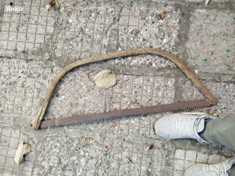 Бичкия, снимка 1