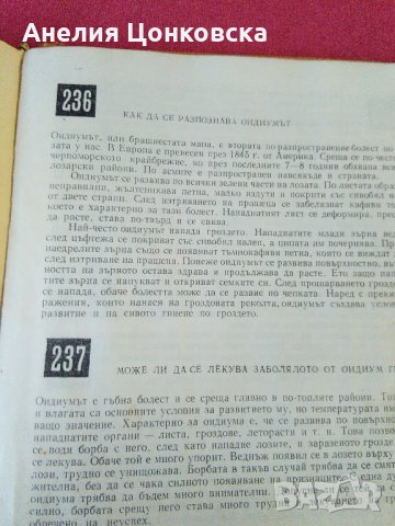 "288 СЪВЕТА ЗА ЛЮБИТЕЛЯ-ЛОЗАР"1971 г., снимка 5 - Българска литература - 28001846