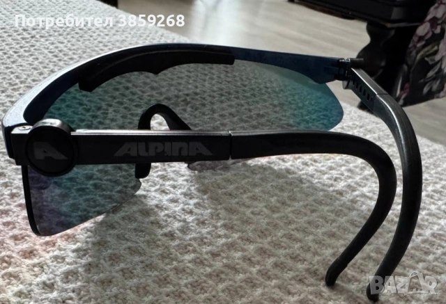 Ски / планински очила ALPINA – Shield модел, снимка 3 - Зимни спортове - 53477039