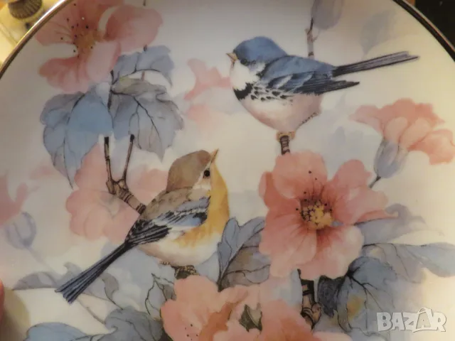 Стара английска чиния красиви птички и цветя за декорация или колекция - красота за вашия дом или оф