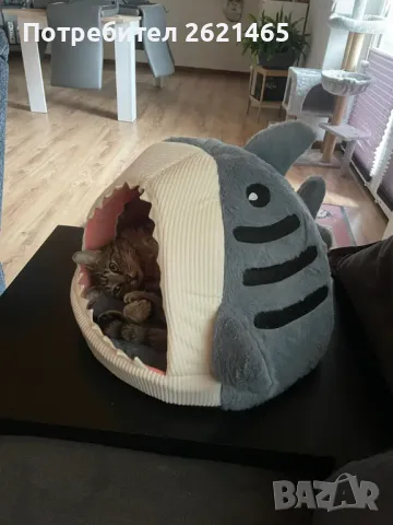 Котещка хралупа - къща с формата на акула, легло за котки, котка, куче, снимка 6 - За котки - 47665811