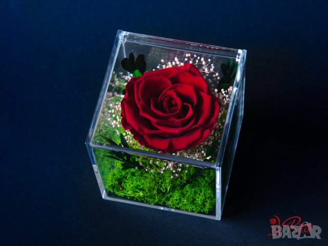Естествена Вечна Роза в Акрилна Кутия / Уникален Подарък за Рожден Ден / Жива Вечна Роза в Кутия, снимка 2 - Подаръци за жени - 43749115
