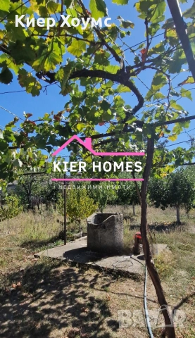 Къща в село Книжовник,обл.Хасково, снимка 9 - Къщи - 52130657