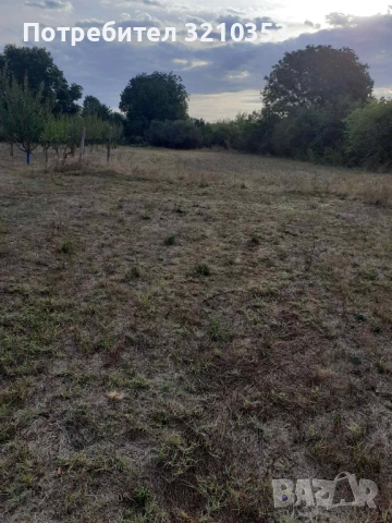 Продава парцел (дворно място), с. Певец, област Търговище, снимка 5 - Парцели - 51717830