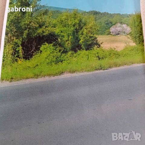 земеделска земя в района на с.Янковци-Габровско, снимка 2 - Земеделска земя - 41958605