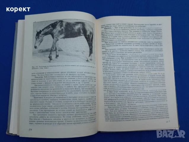 Частна хирургия при домашните животни , снимка 5 - Енциклопедии, справочници - 51185836