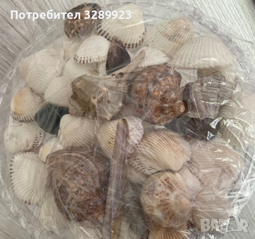 Морско дъно, снимка 2 - Други - 36500683