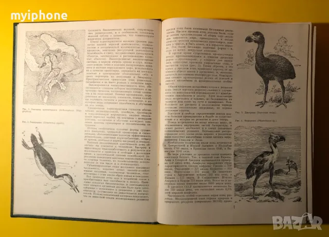 Стара Книга от Поредицата Живота на Животните/ Птиците том 6, снимка 5 - Енциклопедии, справочници - 49252831
