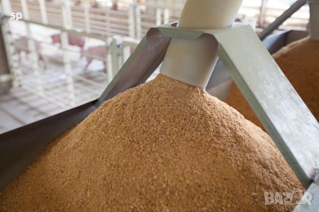 Соев Шрот с Висок Протеин