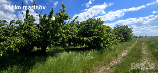 Продава се , снимка 12 - Земеделска земя - 52515931