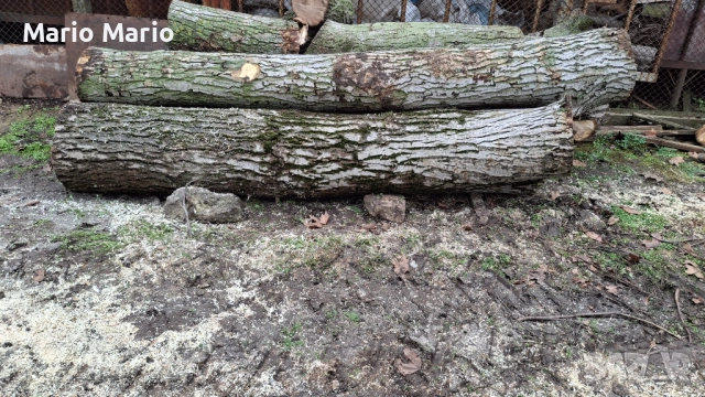 Орехова дървесина , снимка 4 - Други - 52591216