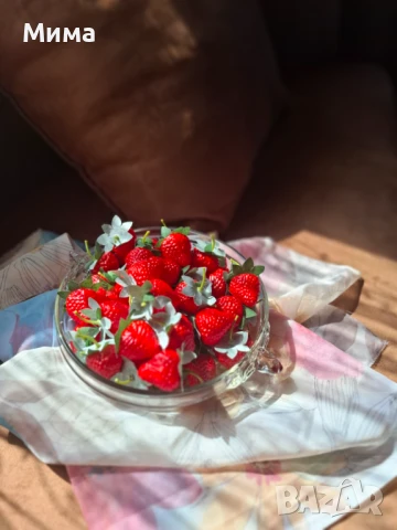 Изкуствени резенчета плодове, снимка 10 - Декорация за дома - 51359601